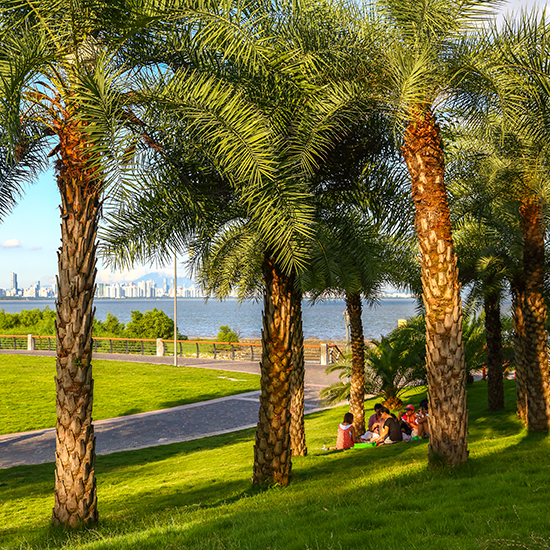 深圳灣公園綜合管理服務(wù)項(xiàng)目