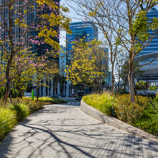 濱海廊橋工程園建工程標段2(B地塊-E地塊)