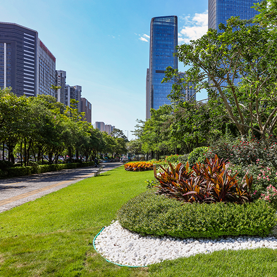 寶安區政府大院東門景觀提升工程