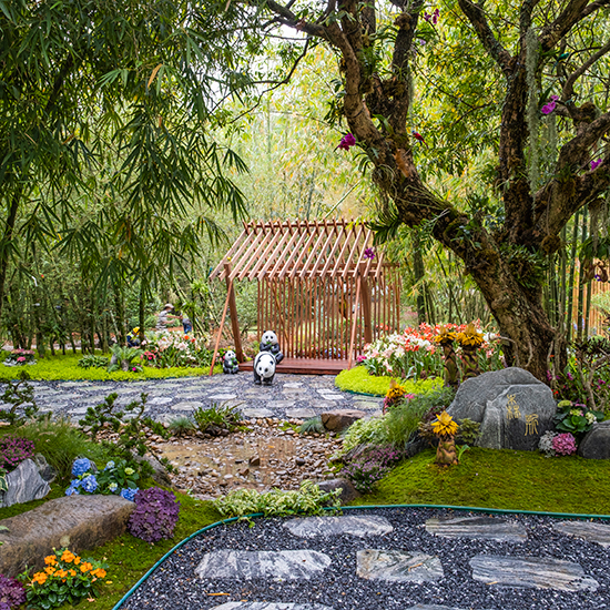 2022 粵港澳大灣區深圳花展 - 森斯環境參展項目“森生不息”花園