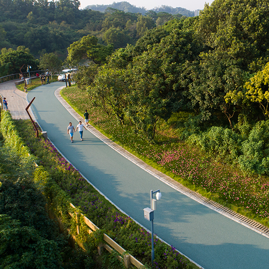 龍華新區環城綠道建設項目(大水坑段)—勘察、設計、施工項目總承包(EPC)