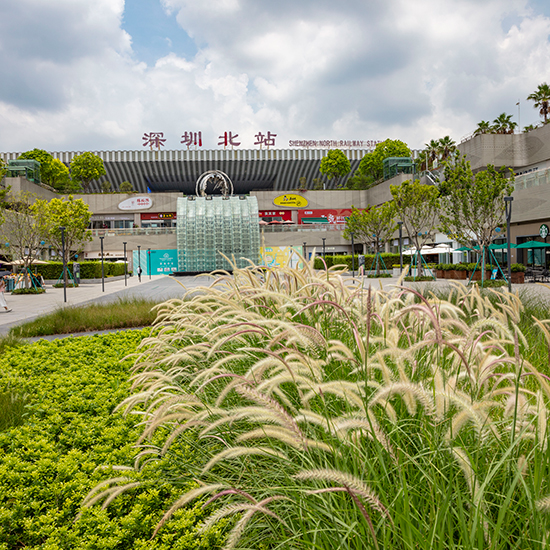 匯隆商務中心深圳北站東廣場首層園林景觀改造