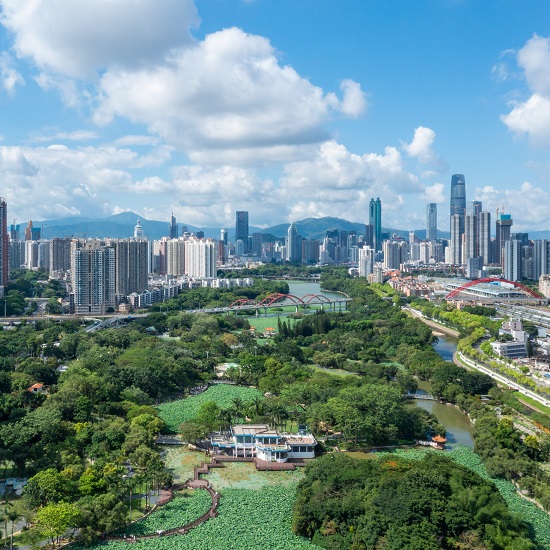 洪湖-翠竹-紅崗公園2025年綜合管理服務項目